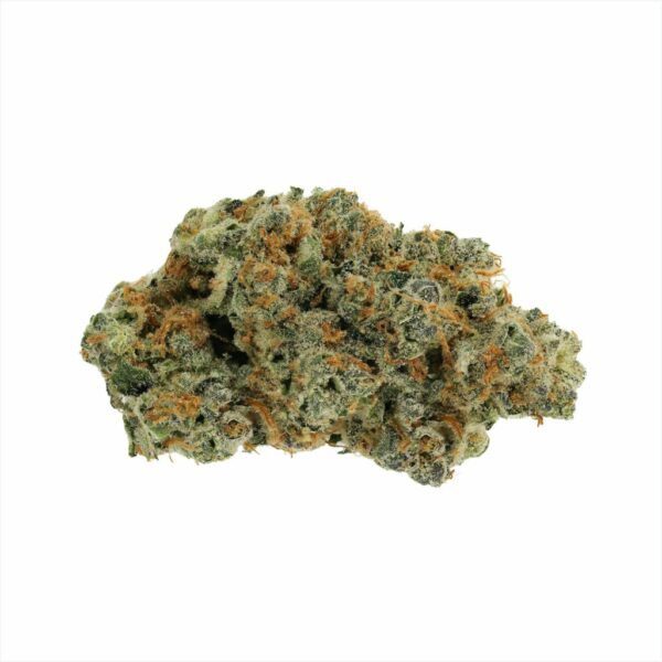 ECO<BR>Kiwi Banana - Image 2