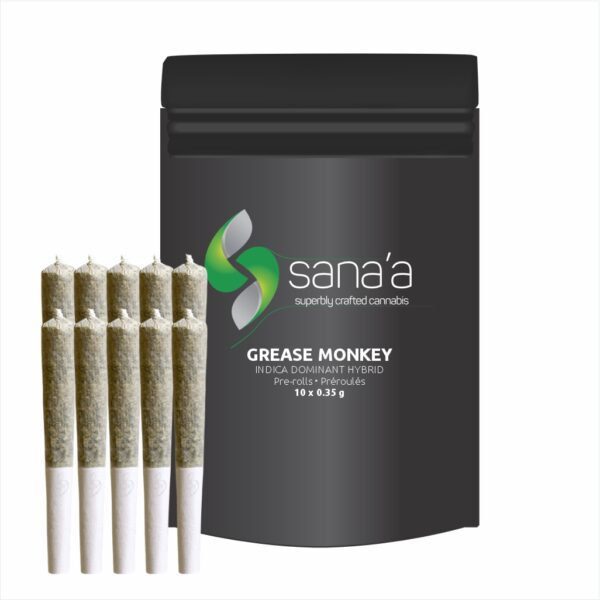 SANA'A<BR>Grease Monkey