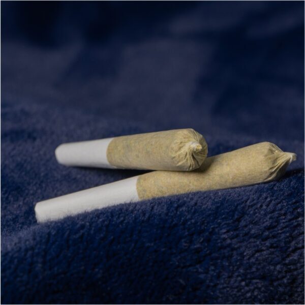 KUSHKRAFT<BR>Mind Freak - Image 2