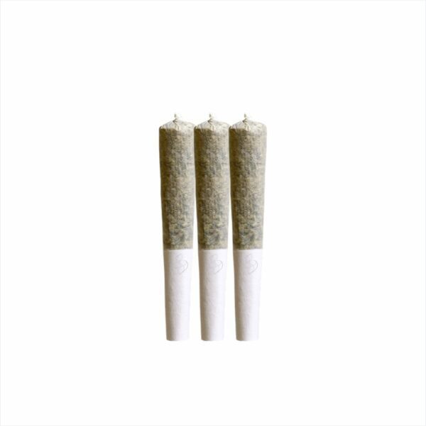 SANA'A<BR>Pine Apple Kush - Image 3